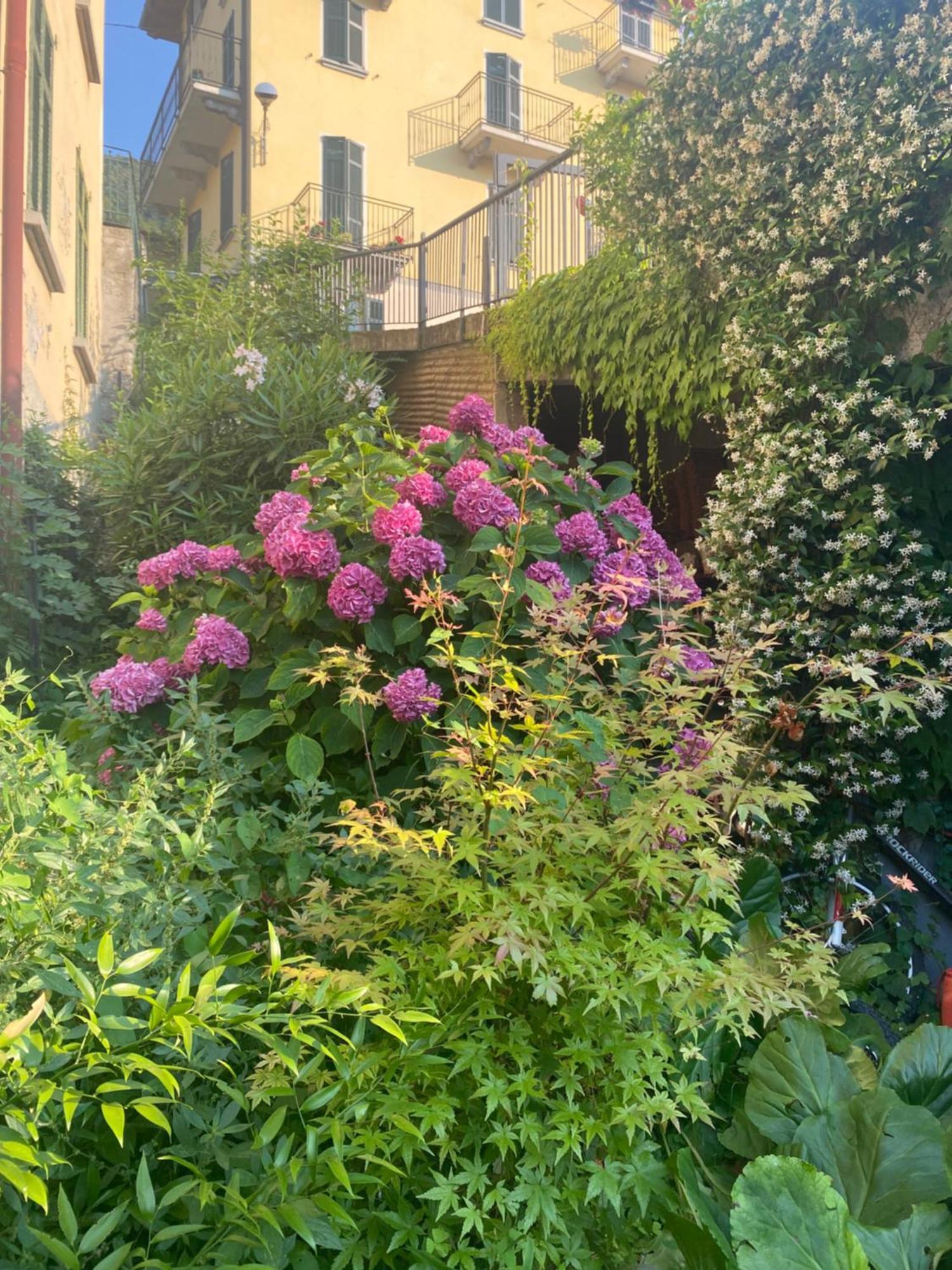 Peonia Apartment - Appartamento Vista Lago レッツェノ エクステリア 写真