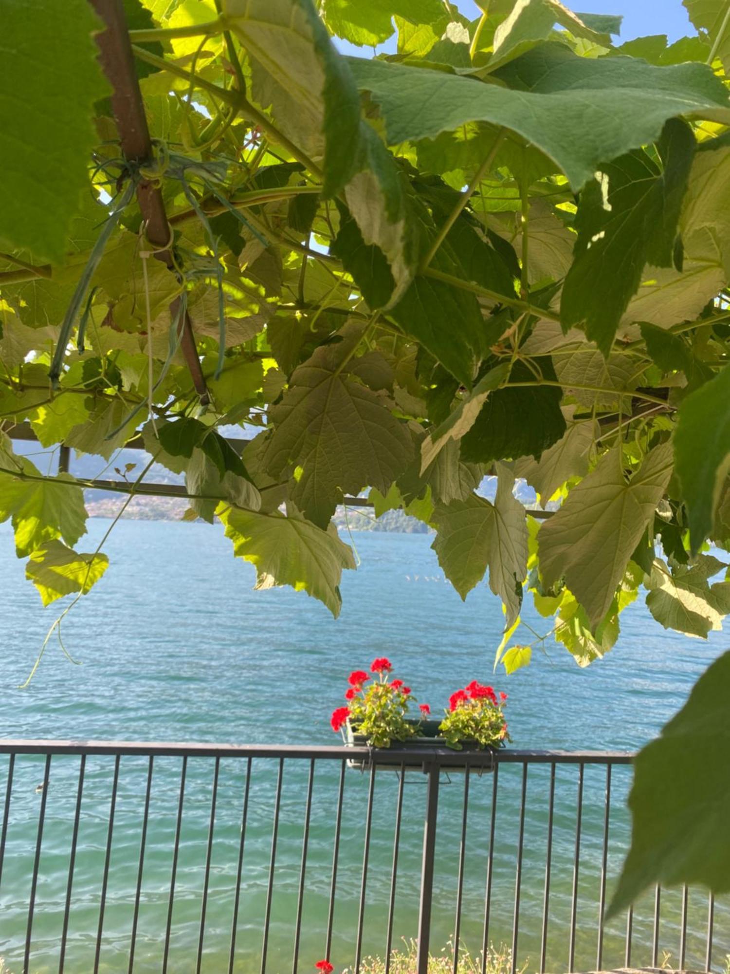 Peonia Apartment - Appartamento Vista Lago レッツェノ エクステリア 写真