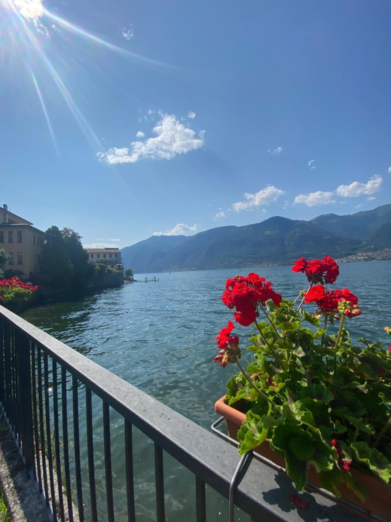 Peonia Apartment - Appartamento Vista Lago レッツェノ エクステリア 写真