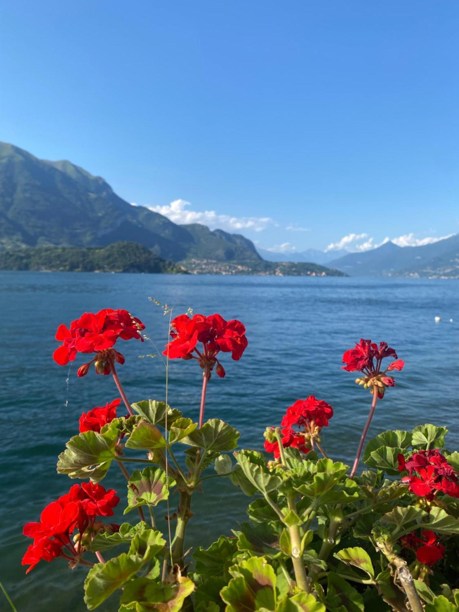Peonia Apartment - Appartamento Vista Lago レッツェノ エクステリア 写真