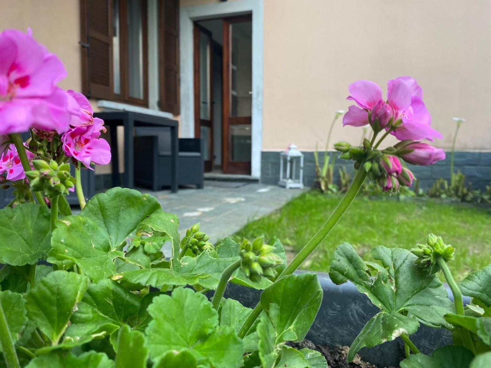 Peonia Apartment - Appartamento Vista Lago レッツェノ エクステリア 写真