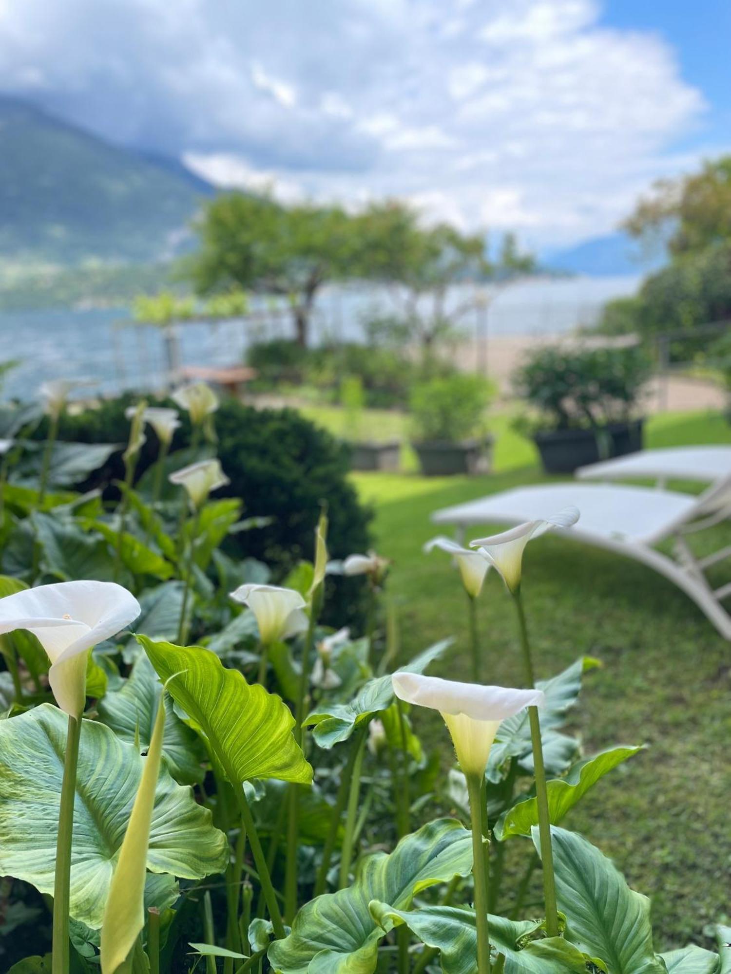 Peonia Apartment - Appartamento Vista Lago レッツェノ エクステリア 写真